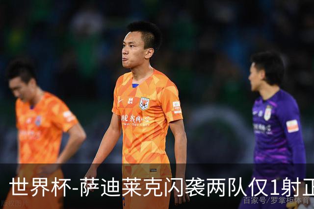 世界杯-萨迪莱克闪袭两队仅1射正 捷克半场暂1-0南非