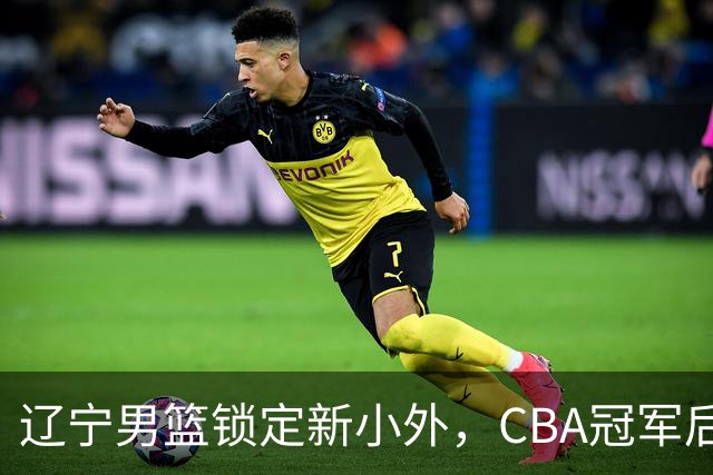 辽宁男篮锁定新小外，CBA冠军后卫有望回归，曾总决赛22+6+9
