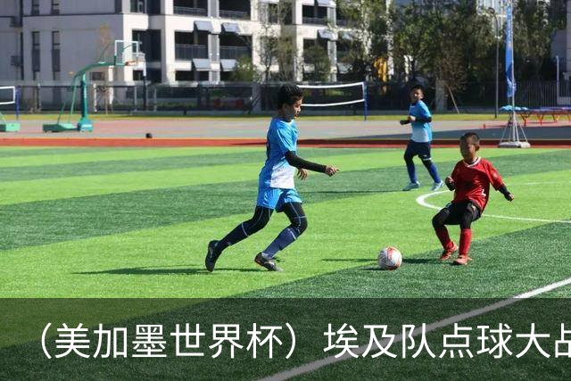 （美加墨世界杯）埃及队点球大战胜澳大利亚队 亚足联队伍全部出局