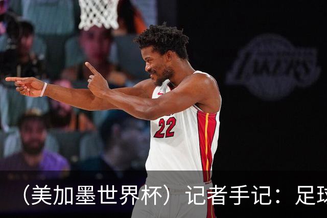 （美加墨世界杯）记者手记：足球世界，规则谁定？